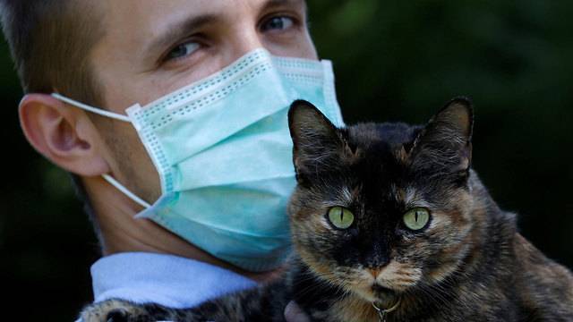Во Франции кошка выздоровела от коронавируса, которым заразилась от владельцев