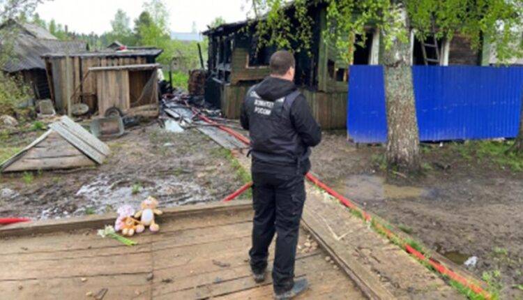 По факту гибели двух детей в Костромской области возбуждено дело
