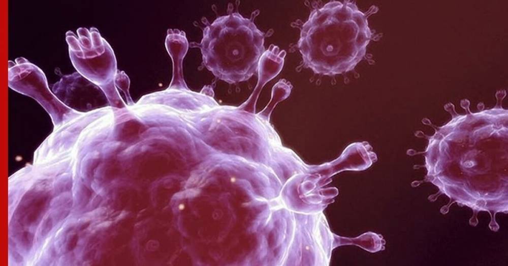 В Китае подтвердили новую версию о происхождении коронавируса