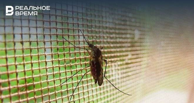Жители Уфы просят принять меры против нашествия комаров