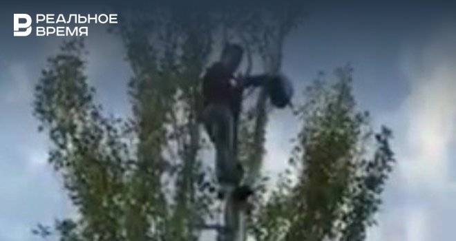 В Казани сотрудники МЧС десять часов уговаривают мужчину слезть с дерева