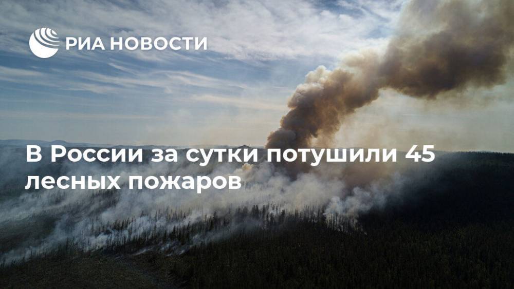 В России за сутки потушили 45 лесных пожаров