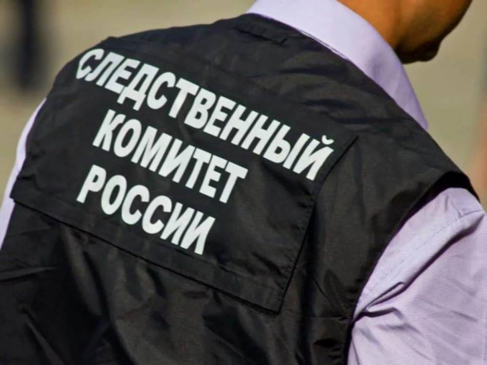 Участников одиночных пикетов около здания Следственного комитета в Москве задержали