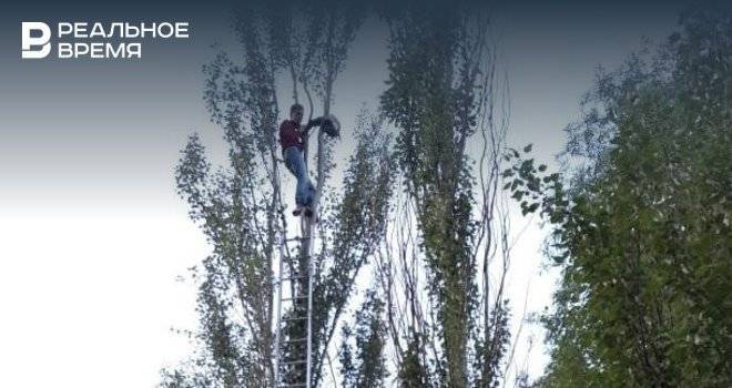 В Казани мужчина, которого уговаривали спуститься с дерева, упал мимо растянутого тента