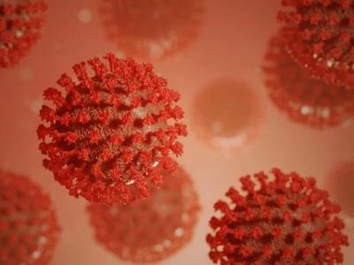У коронавируса есть защита от иммунитета человека