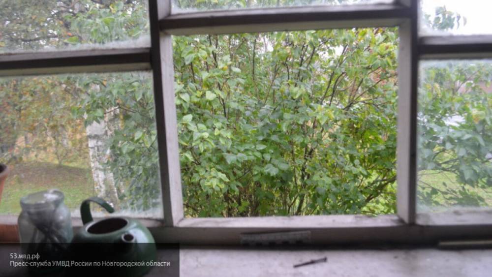 Двухлетняя девочка выпала из окна пятиэтажного дома в Новосибирске