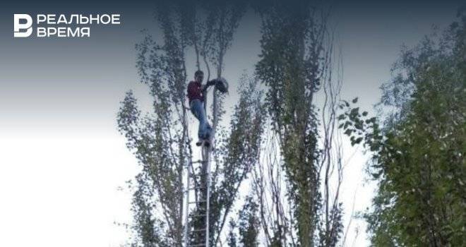 В Казани мужчину, который упал с дерева, доставили в больницу
