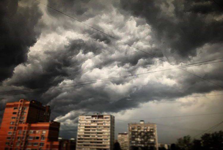 Московские власти рассказали о нанесенном дождями и ветром ущербе