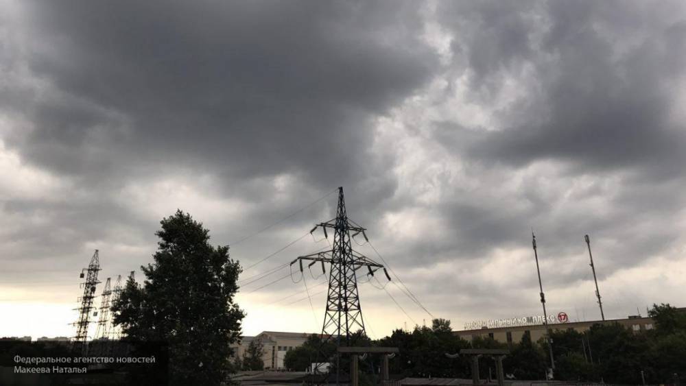 МЧС предупредило жителей Петербурга об усилении ветра в ближайшие часы