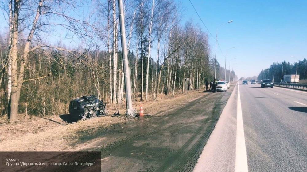 Автомобиль ВАЗ превратился в груду металла после столкновения с деревом в Костроме