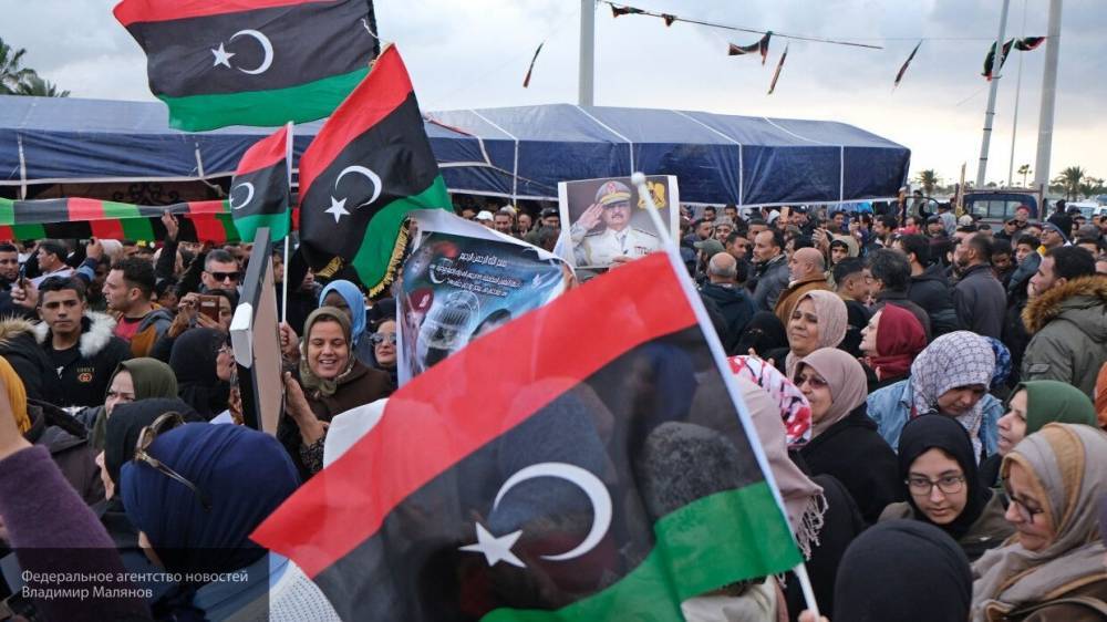 Анохин призвал правозащитников не верить фейкам ПНС Ливии