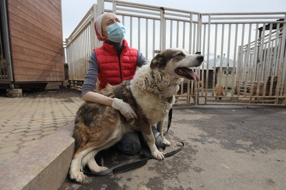 Московских лесных животных вакцинируют от бешенства