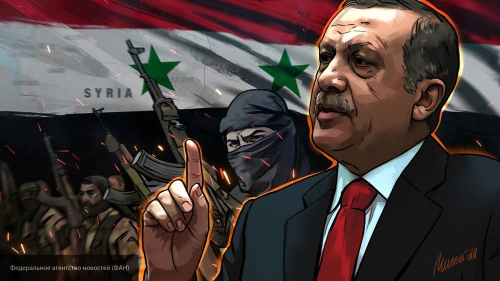 Шаповалов назвал бандитизм и насилие целенаправленной стратегией Турции в Сирии