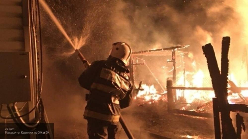 Жертвами пожара в срубовом доме стали два жителя Пензенской области
