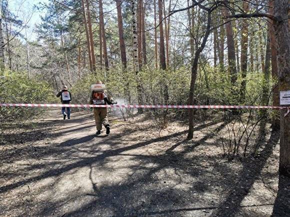 Шарташский лесопарк в Екатеринбурге начали обрабатывать от клещей
