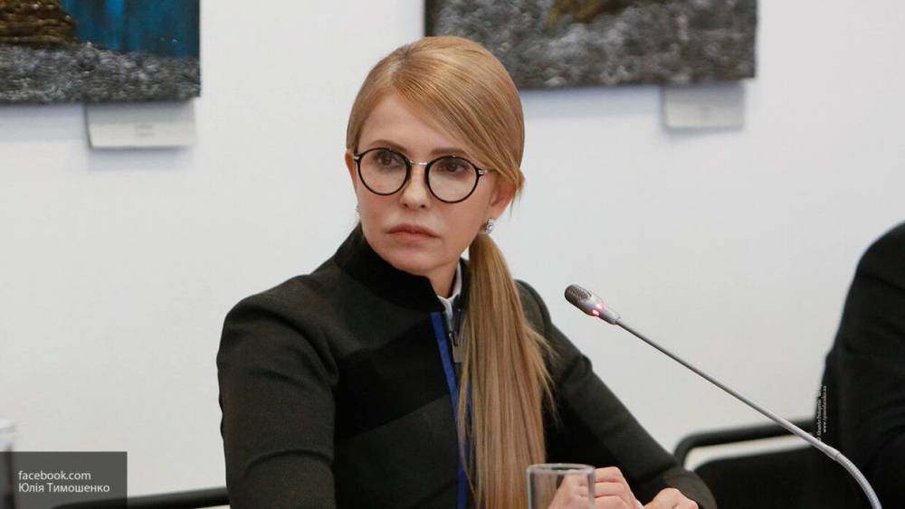 НАПК Украины заявило, что Тимошенко стала долларовым миллионером