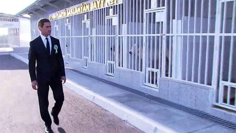 Сердар Бердымухамедов стал главным по разведению алабаев в Туркменистане
