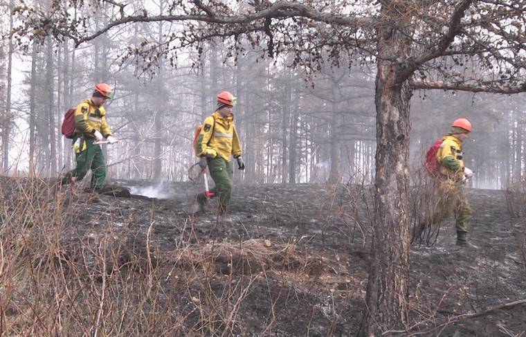 Песков: в вопросе борьбы с лесными пожарами без Путина не обойтись