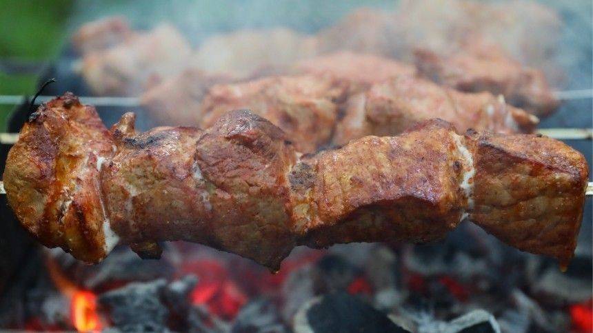 Шашлычный перформанс: Трое блогеров пожарили мясо в центре Петербурга