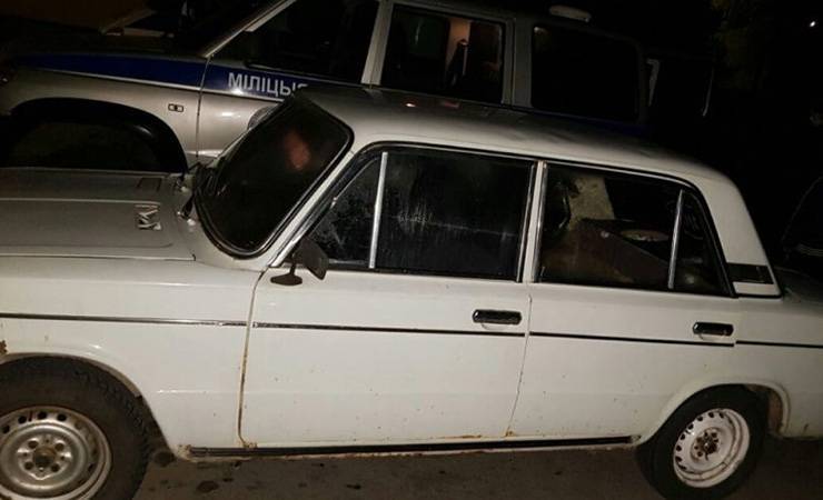 Телки на задне... В Гомельской области водитель-бесправница везла двух ворованных телят в старых «Жигулях» вместе с пассажирами
