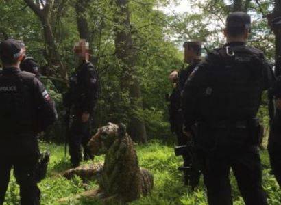 В Британии полицейские пытались поймать тигра, который оказался скульптурой