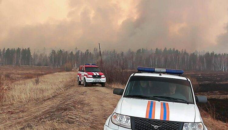 Песков заявил о необходимости участия Путина в вопросе борьбы с лесными пожарами