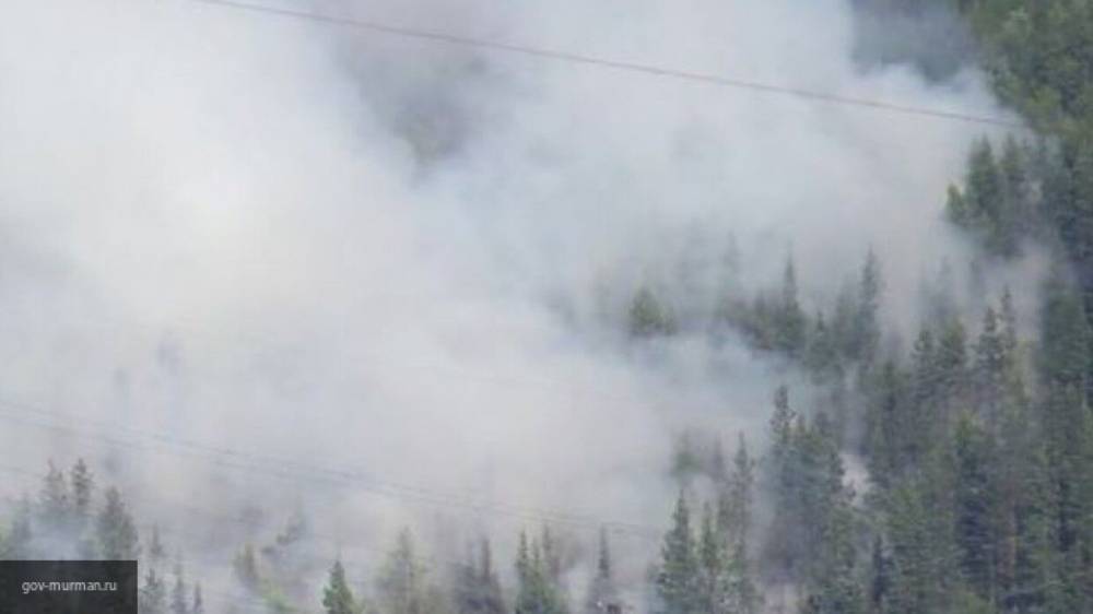 Около 70 лесных пожаров ликвидировано в России за прошедшие сутки
