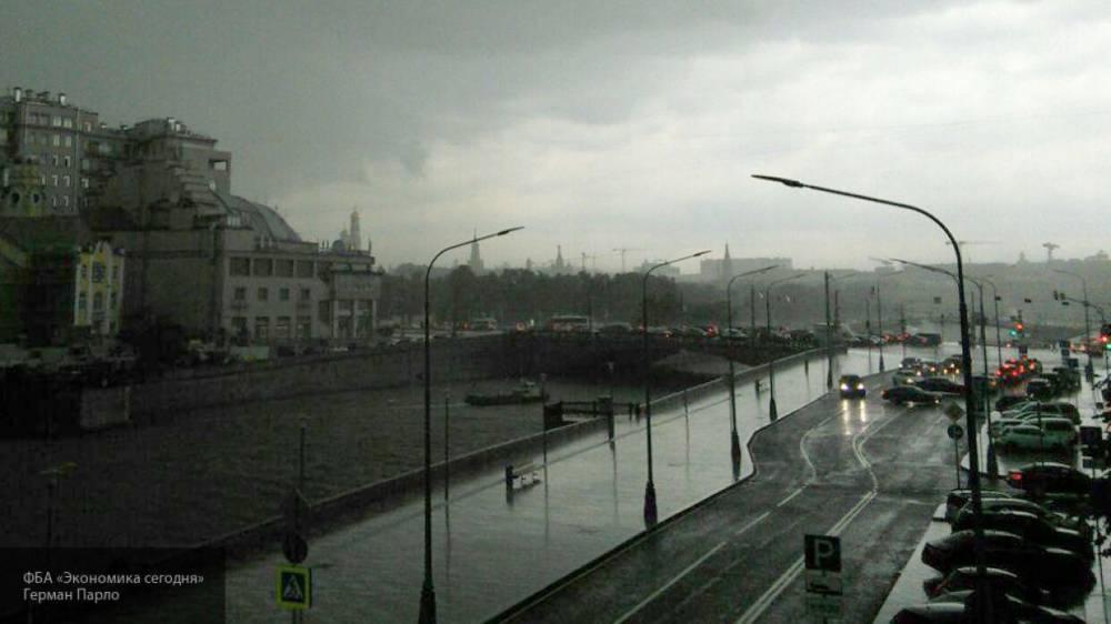 Жителей Москвы и Подмосковья предупредили о дожде с грозой 5 мая