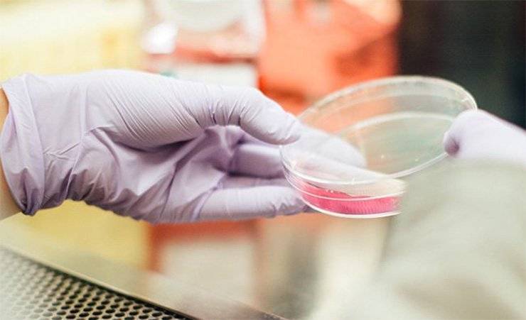 Учёные создали антитело, способное победить коронавирус