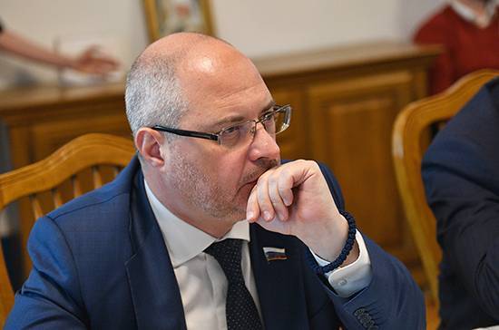 Гаврилов назвал выводы, которые нужно сделать из трагедии SSJ-100 в Шереметьево