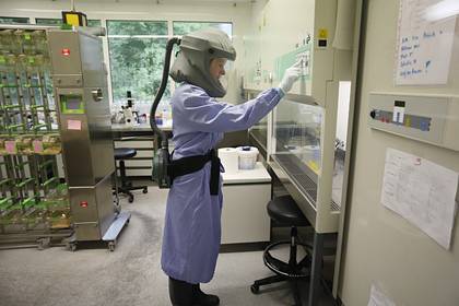 Власти США высказались о месте возникновения коронавируса