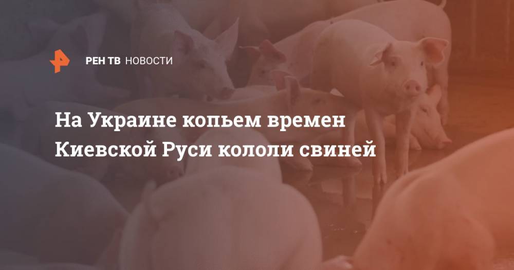 На Украине мужчина нашел копье времен Киевской Руси и колол им свиней