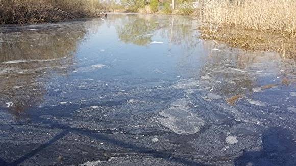 «Зловонная лужа». Экологи проверят информацию о загрязнении реки около Челябинска