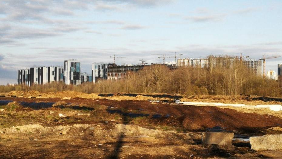 Жители севера Петербурга провели полевое расследование из-за зловонного запаха