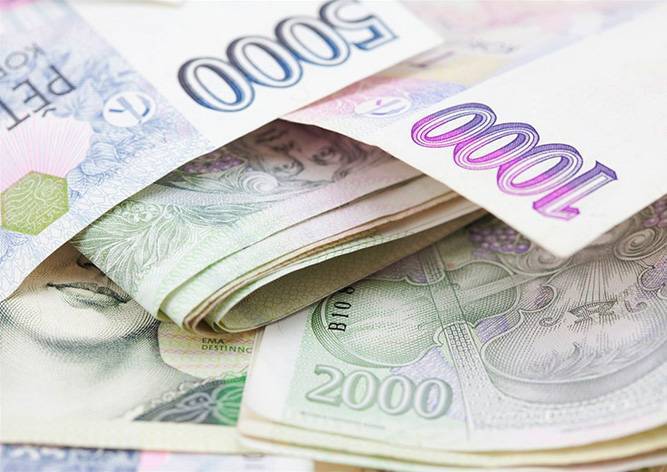 Жительница Чехии нашла на парковке 44 тыс. крон и отнесла деньги в полицию
