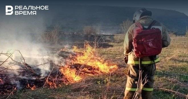 В Татарстане за сутки обнаружили двоих виновников природных пожаров