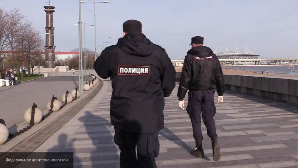 Полиция оштрафовала блогеров за шашлыки в центре Санкт-Петербурга