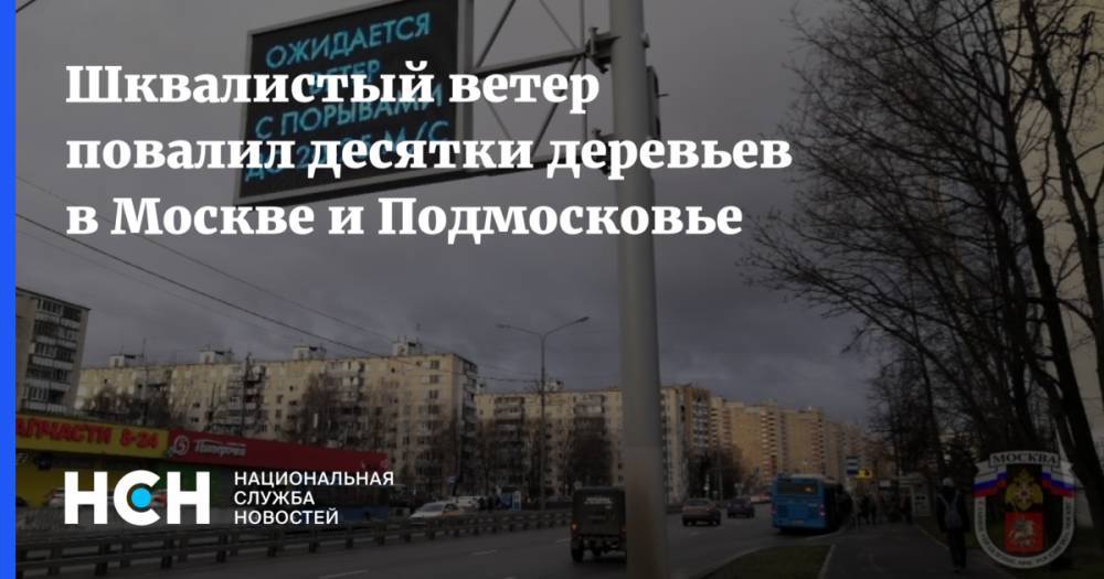 Шквалистый ветер повалил десятки деревьев в Москве и Подмосковье