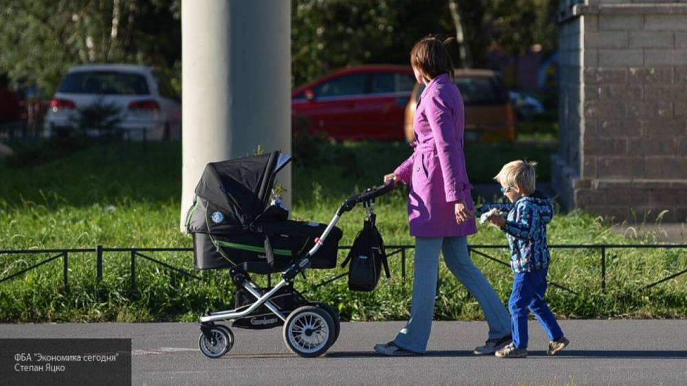 Глава Минтруда РФ сообщил, что маткапитал получили около 66 тысяч семей
