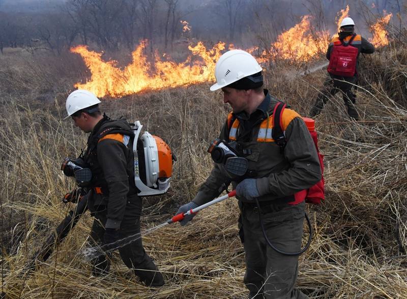 Путин поручил ужесточить санкции за нарушение пожарной безопасности