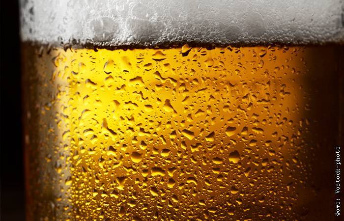 Во Франции уничтожат 10 млн литров пива из-за закрытия ресторанов