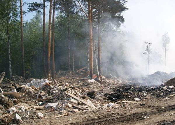 Путин поручил ужесточить ответственность за лесные пожары