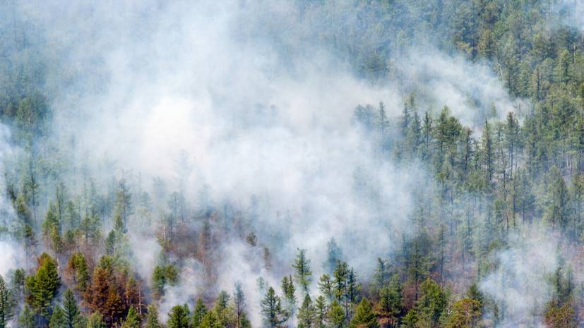 За майские праздники в России сгорело около 14 тысяч га растительности