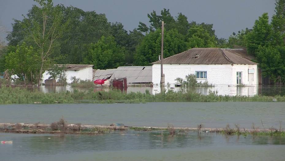 Наводнение в Мактааральском районе. Виноват ли Узбекистан в затоплении казахстанских сёл?
