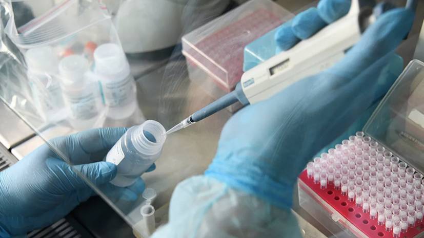 Число проведённых в России тестов на коронавирус превысило 4,8 млн