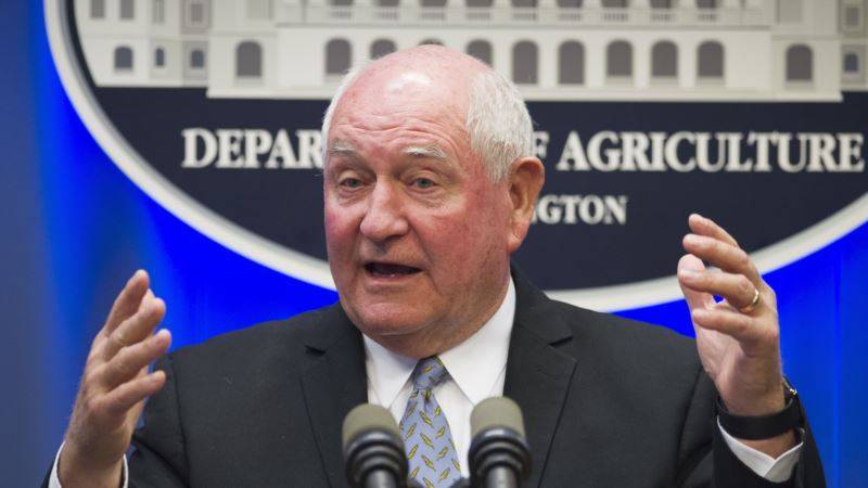 Министр сельского хозяйства США обещает восстановить производство мяса через 10 дней