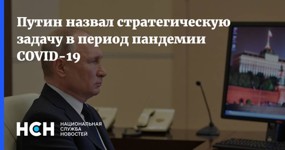 Путин назвал стратегическую задачу в период пандемии COVID-19