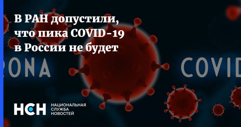 В РАН допустили, что пика COVID-19 в России не будет