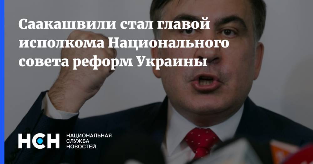 Саакашвили стал главой исполкома Национального совета реформ Украины