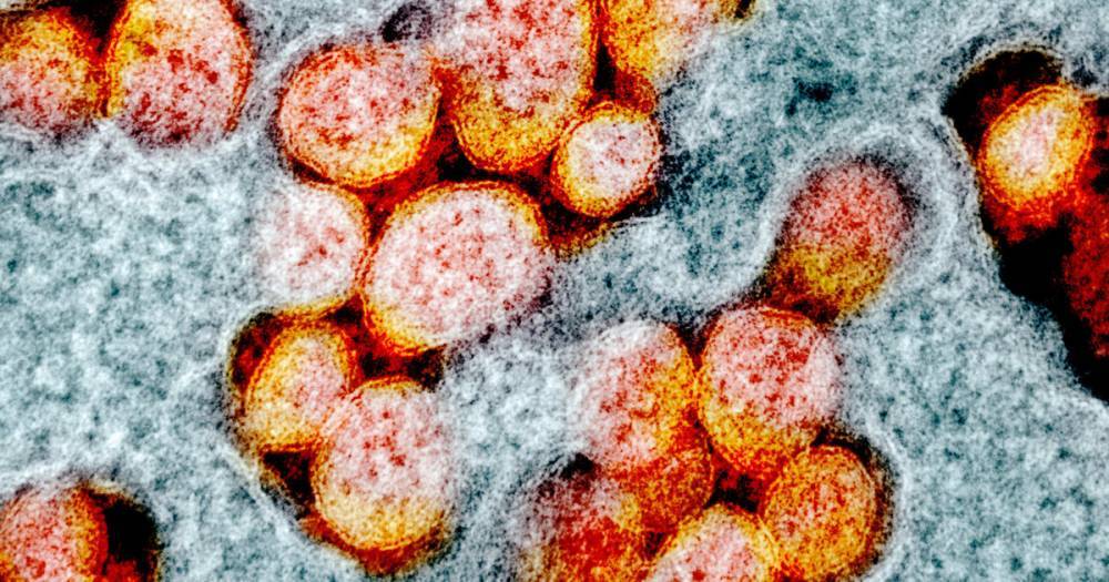 Через постель: ученые нашли новый путь распространения коронавируса